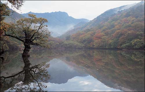 주산지 전경 